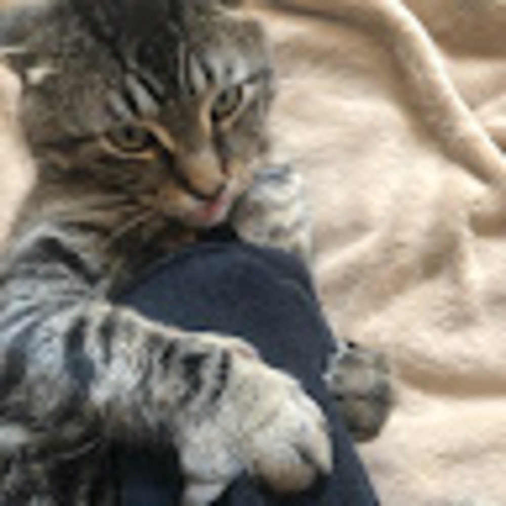 Meet your Posher, Sterling